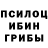 Галлюциногенные грибы ЛСД riddsa Hispp