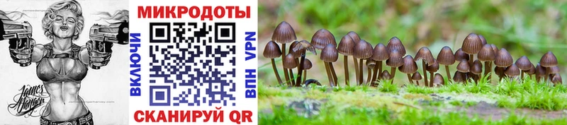 Купить закладки  Касимов  Псилоцибиновые грибы Psilocybine cubensis 